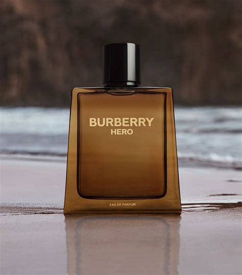 burberry 5045490683666|Burberry .